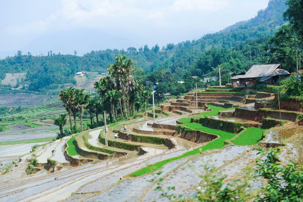 Topas Riverside Lodge Sapa Εξωτερικό φωτογραφία